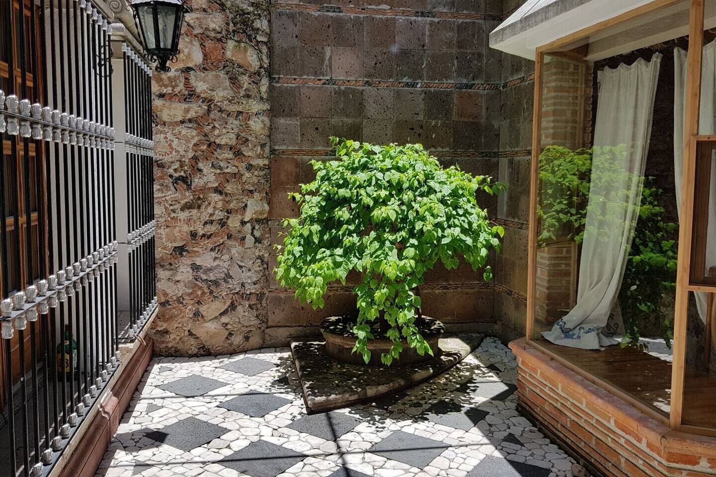 En gårdhave med en stenvæg, et metalhegn, en potteplante og fliset gulv.