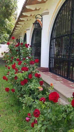 Un bâtiment à la façade blanche, doté de grilles en fer noir et orné d’une rangée de roses rouges.