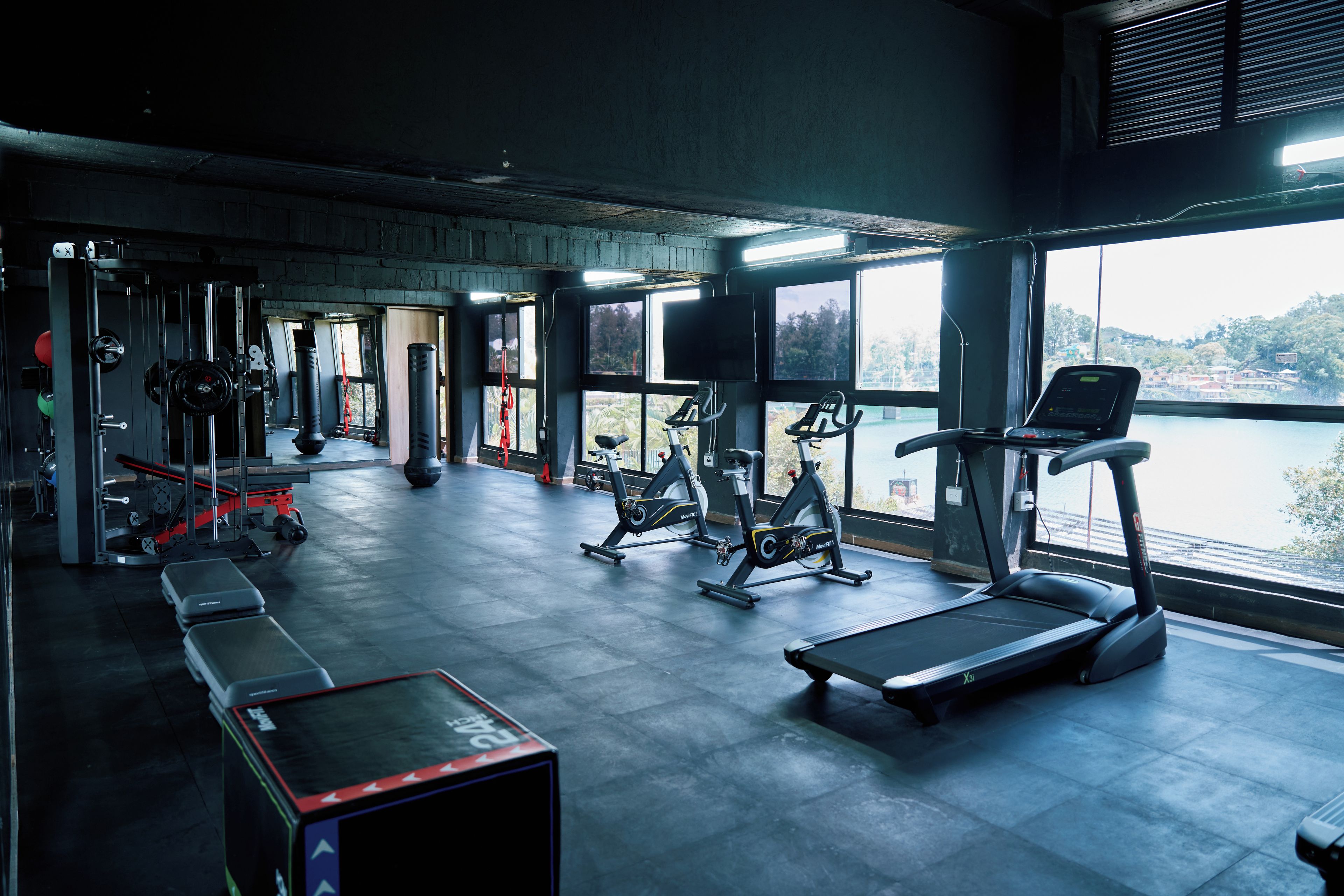 A gym with various exercise equipment, a treadmill, and a view of a body of water through large windows.