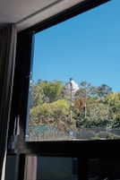 Vista a través de una ventana que muestra un edificio con una estatua en una colina, rodeada de árboles y una cerca.