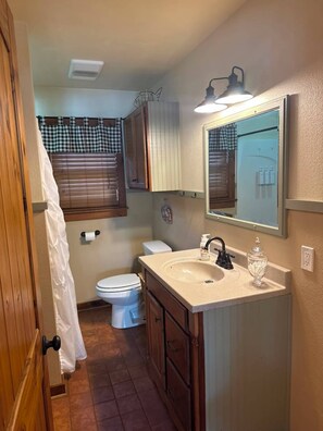 A compact bathroom with a toilet, sink, and mirror. - The Cabin on Monkey Island (Afton)