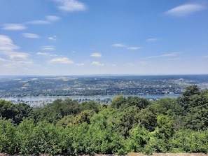A panoramic view of a cityscape with a lake and dense greenery in the foreground.