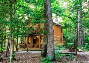 Une cabane en rondins dotée d’un porche, entourée d’une forêt dense.