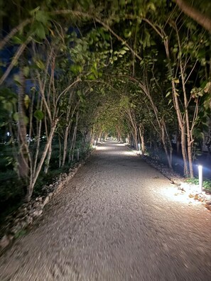 A pathway lined with trees and illuminated by lights. - Bahari at Fumba (Zanzibar)