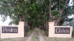 A pathway leading to a gated entrance with signs reading 'Pedro' and 'Chico'.