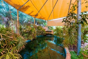 An indoor garden with a water feature, surrounded by various plants and a yellow canopy.