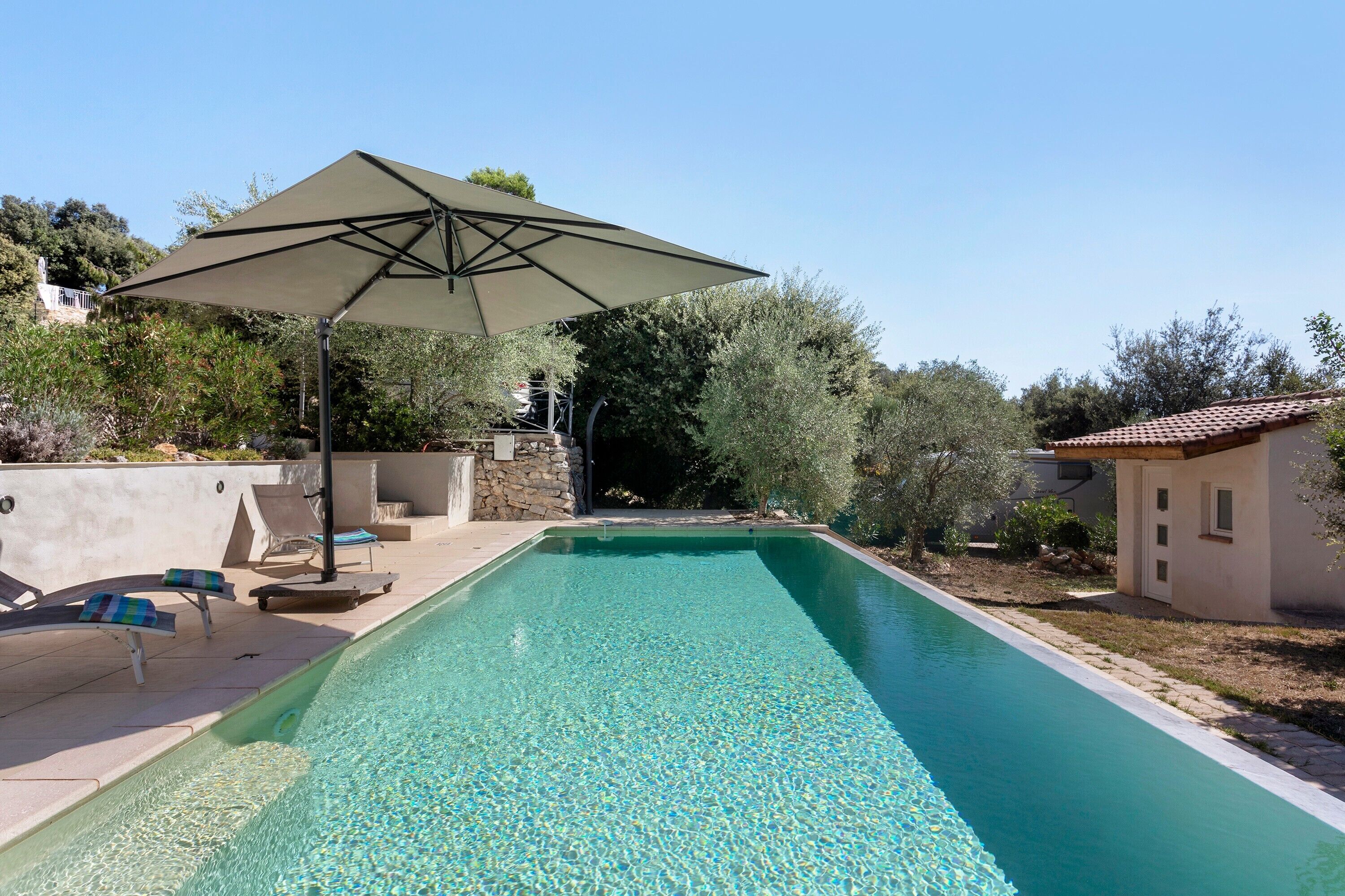 Ein rechteckiger Swimmingpool mit klarem Wasser, umgeben von einer Terrasse mit Liegestühlen und einem Sonnenschirm.