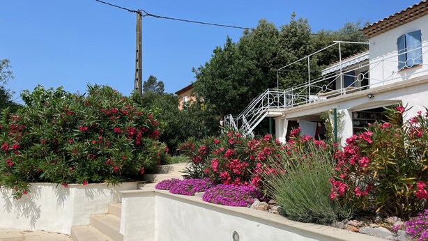 A residential property with a white exterior, a staircase leading to a balcony, and a garden with flowering plants.