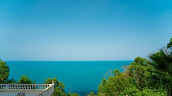 Vista costera con cielo azul despejado, un balcón con vista al mar y abundante vegetación.