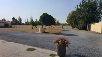 Un camino pavimentado que lleva a un edificio con patio cercado y una maceta con flores rosas.