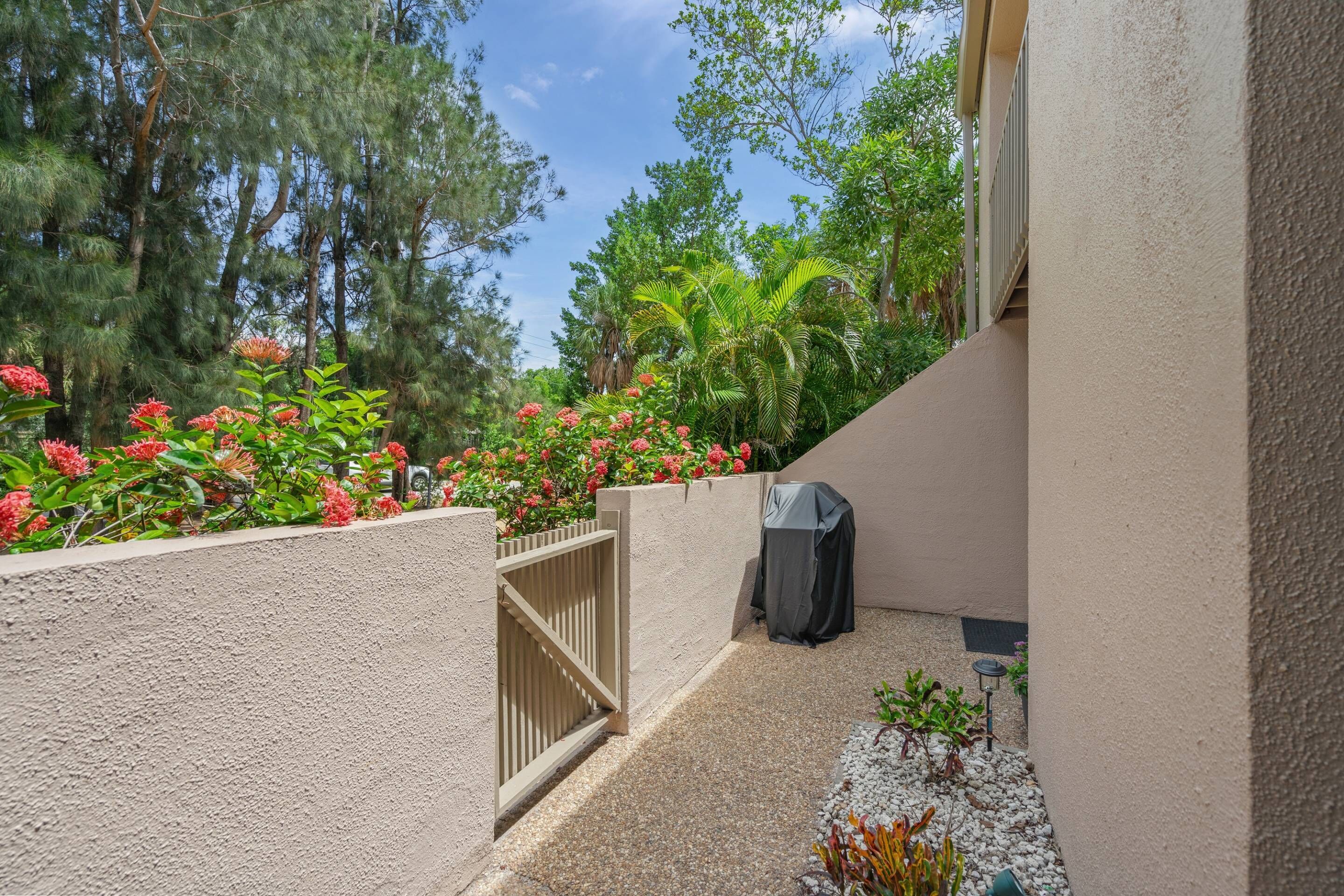 Una zona patio con una griglia per barbecue, un muro in cemento e diverse piante e alberi.