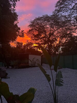 A sunset view with trees and a building in the background.