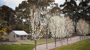 A row of trees with white blossoms, a covered structure, and a grassy area. - RIVER HOUSE - MODERN COUNTRY HOME, LAURISTON (Lauriston)