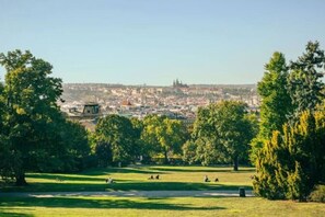 Ein Park mit offenen Rasenflächen, Bäumen und einem entfernten Blick auf eine Stadt mit Gebäuden und einem Turm.