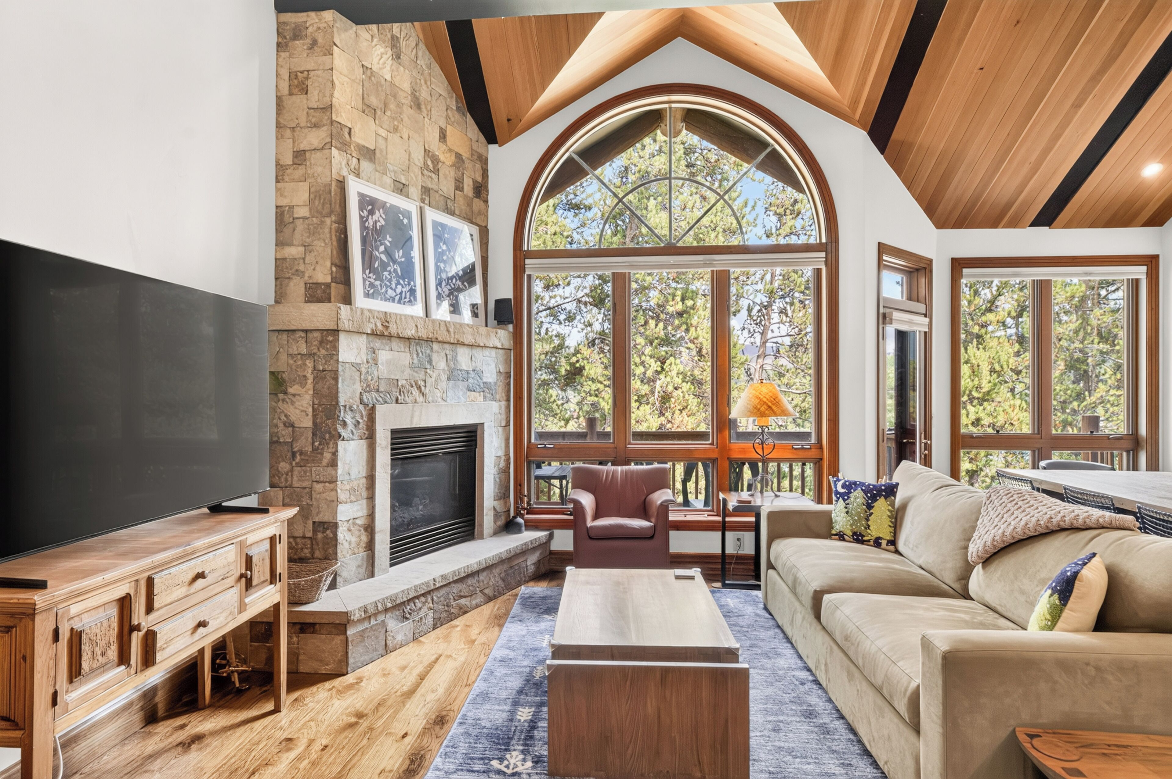 Smart TV, fireplace