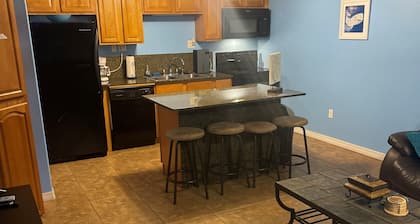 Cozy 1 bedroom in the heart of Venice, LA
