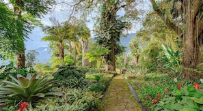 A stone pathway surrounded by lush greenery and tall trees. - Histórica Hacienda Cafetera by TopSpot® (San Antonio Del Tequendama)
