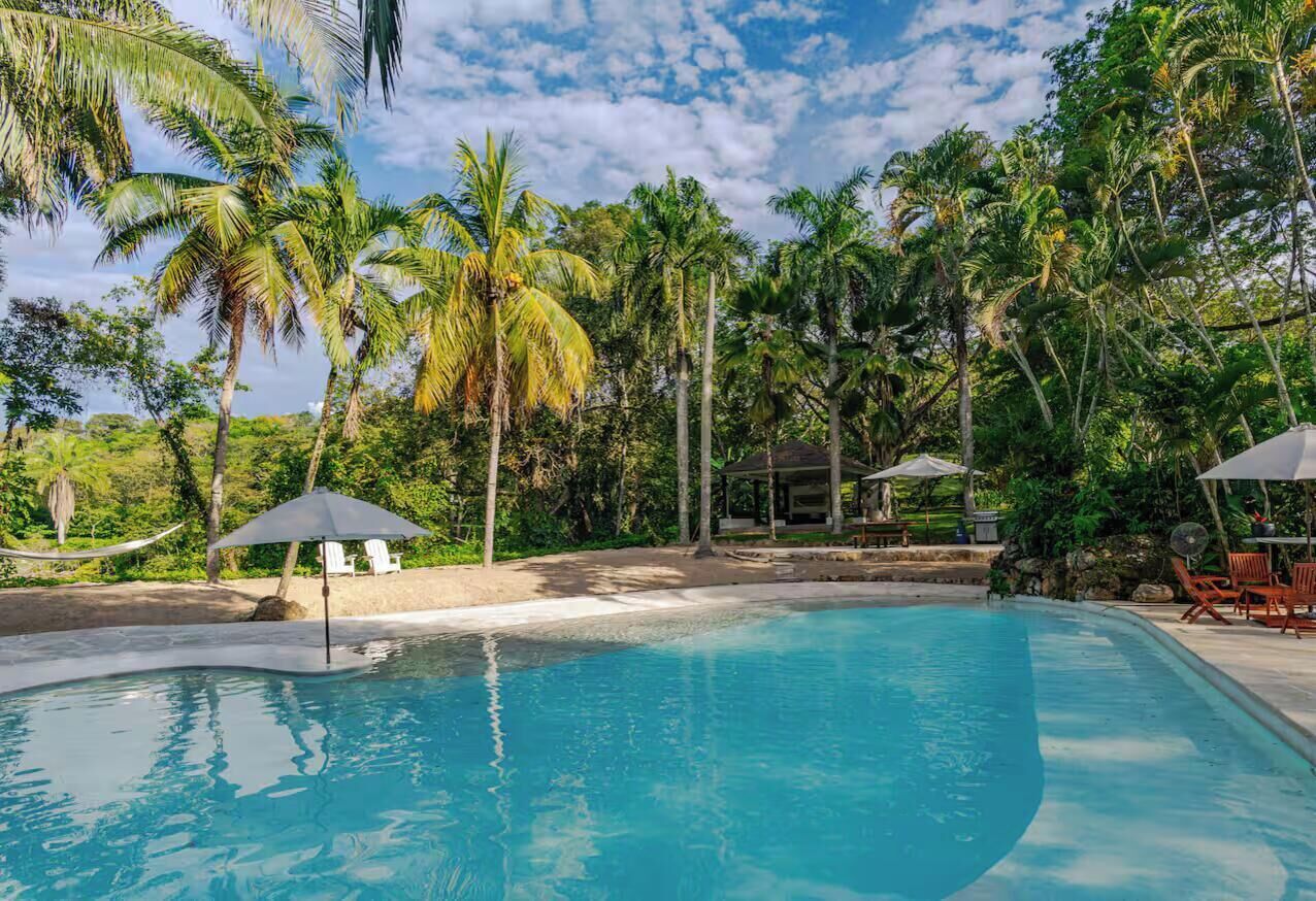 A swimming pool surrounded by palm trees and a covered seating area.