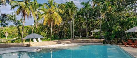 A swimming pool surrounded by palm trees and a covered seating area.