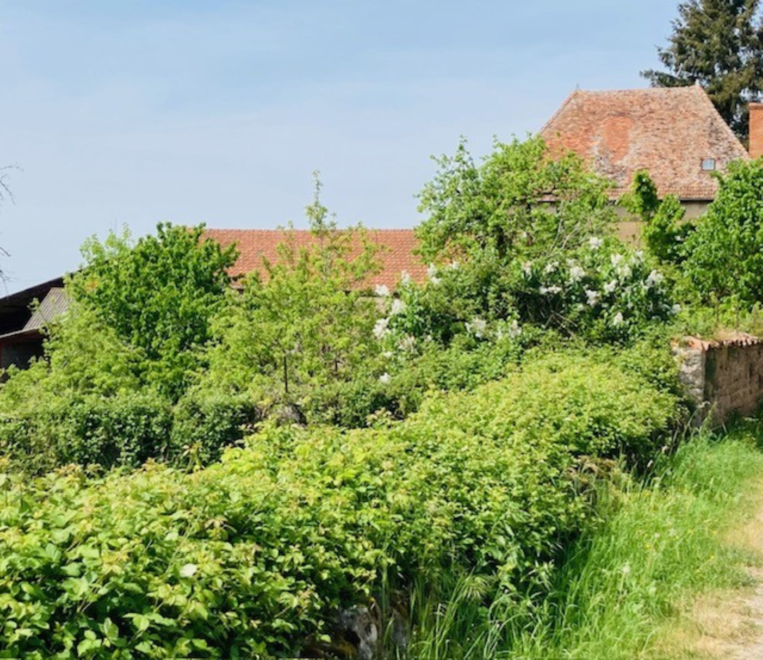 Ländliche Landschaft mit einem Steinhaus, dichter Vegetation und blauem Himmel.
