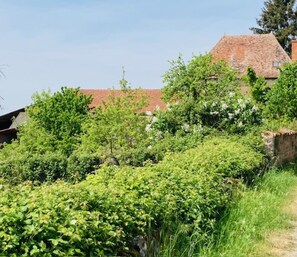 Un paysage rural avec un bâtiment en pierre, une végétation luxuriante et un ciel dégagé.