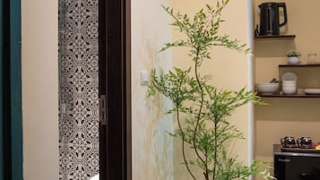 A hallway with a potted plant, a kitchen area with a kettle, and a patterned wall.
