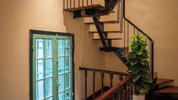 A staircase with wooden railings and a potted plant.