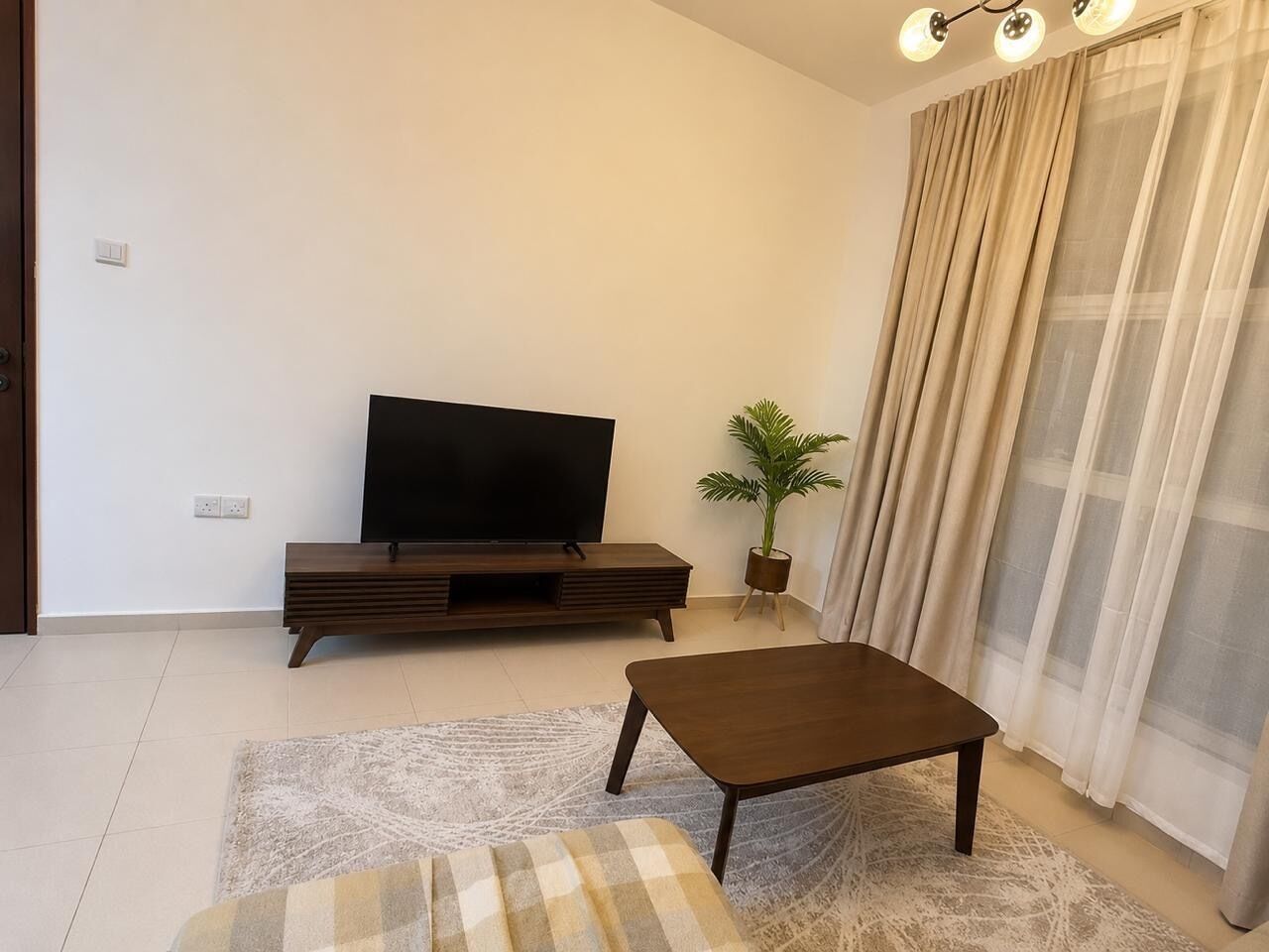 A living room with a flat-screen TV on a wooden stand, a small table, a patterned rug, a potted plant, and a large window with curtains.