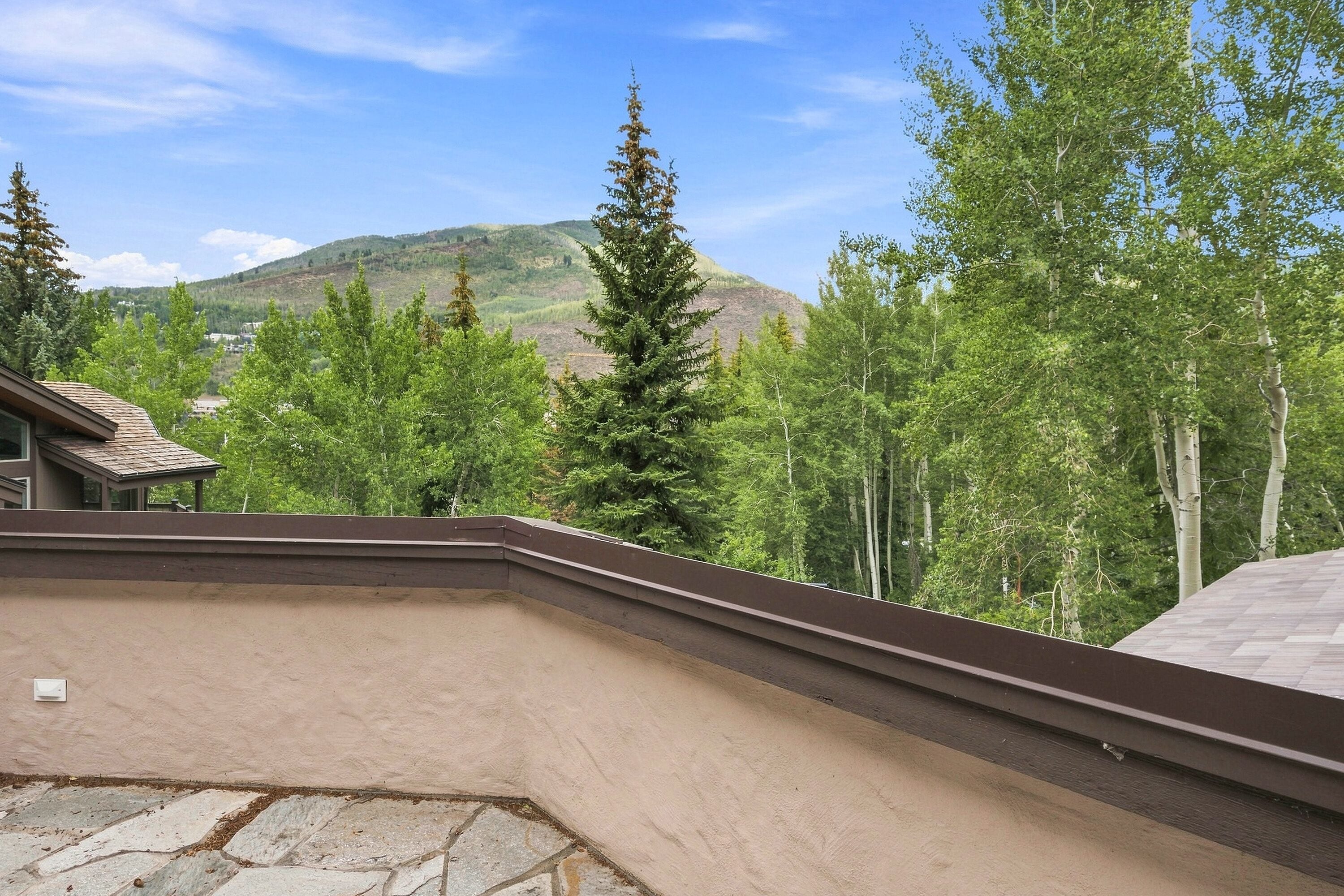 A residential property with a sloped roof, a stone patio, and a view of a forested area with mountains in the background.