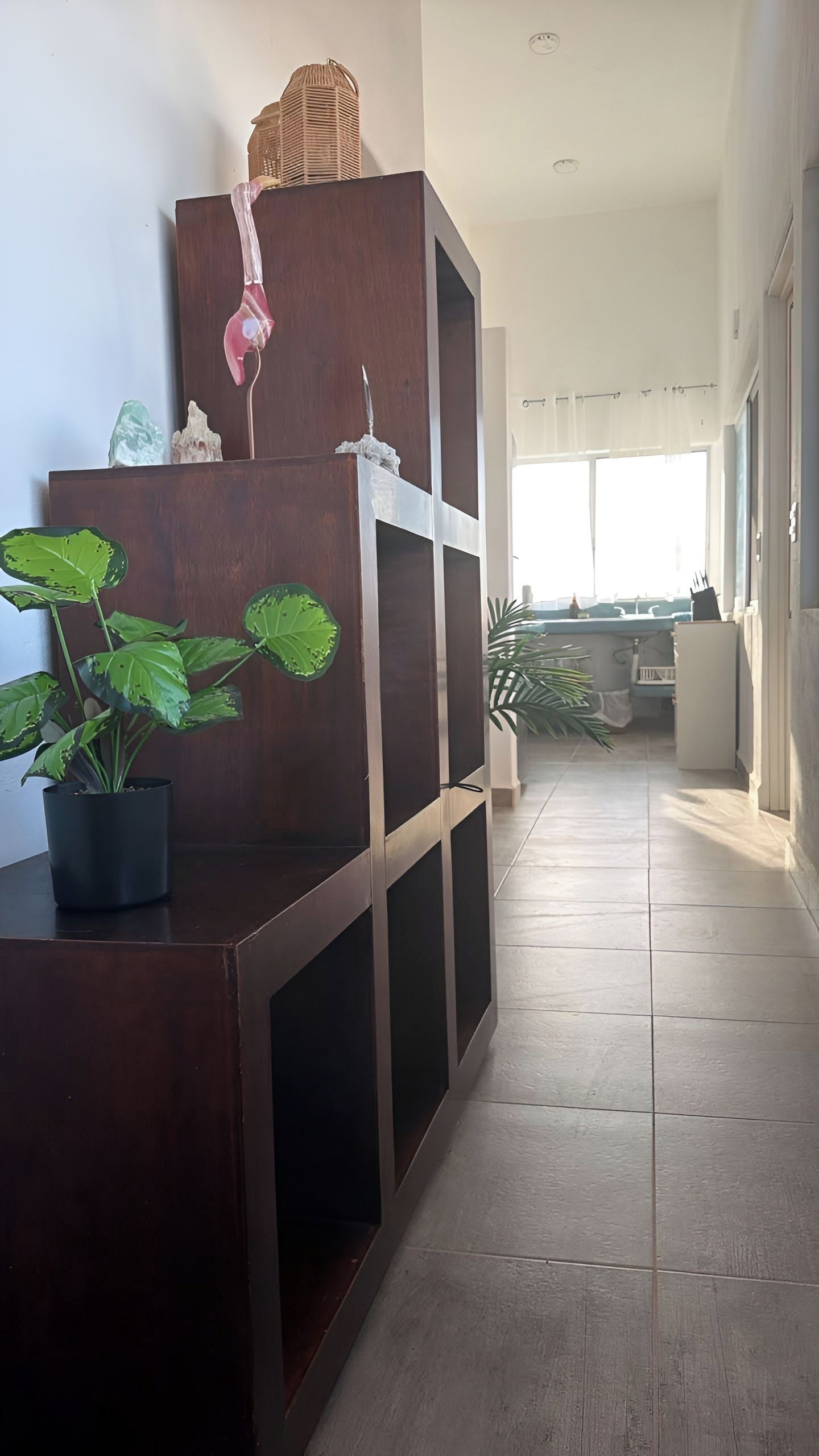 A hallway with a wooden bench, a potted plant, and a window with sheer curtains.