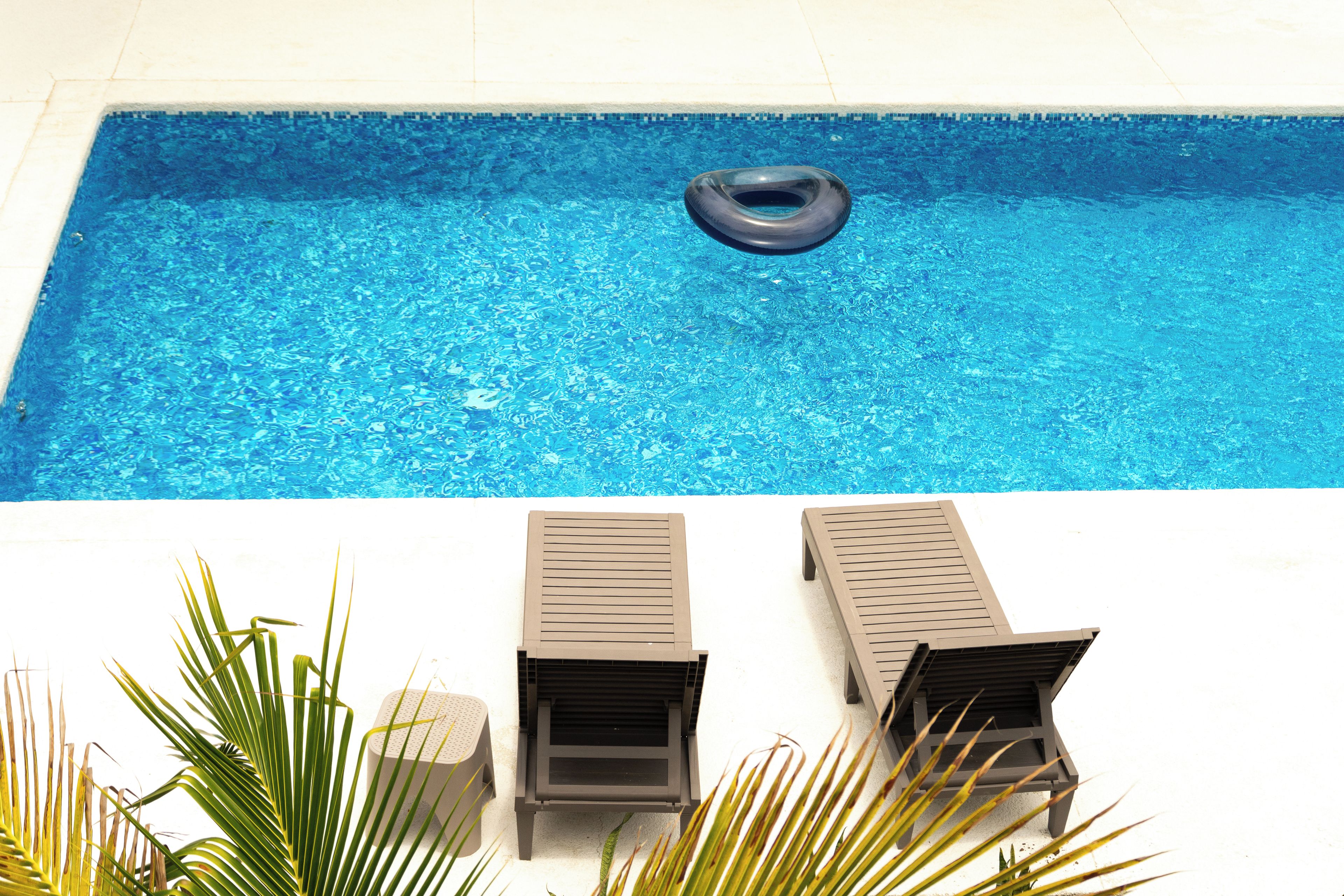 A swimming pool with a floating ring, two lounge chairs, and a small planter with palm leaves.