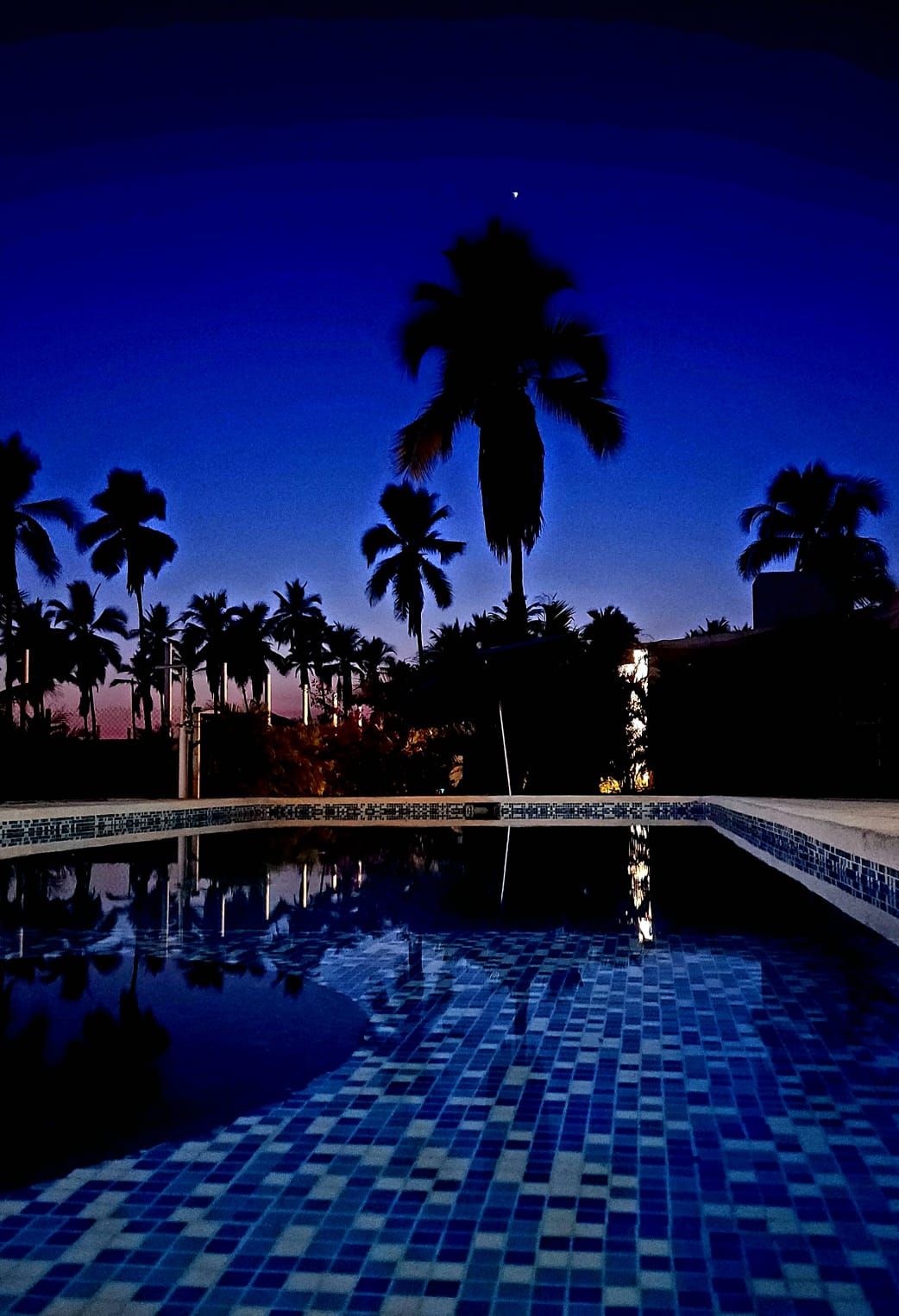 A swimming pool with a tiled floor and palm trees in the background.