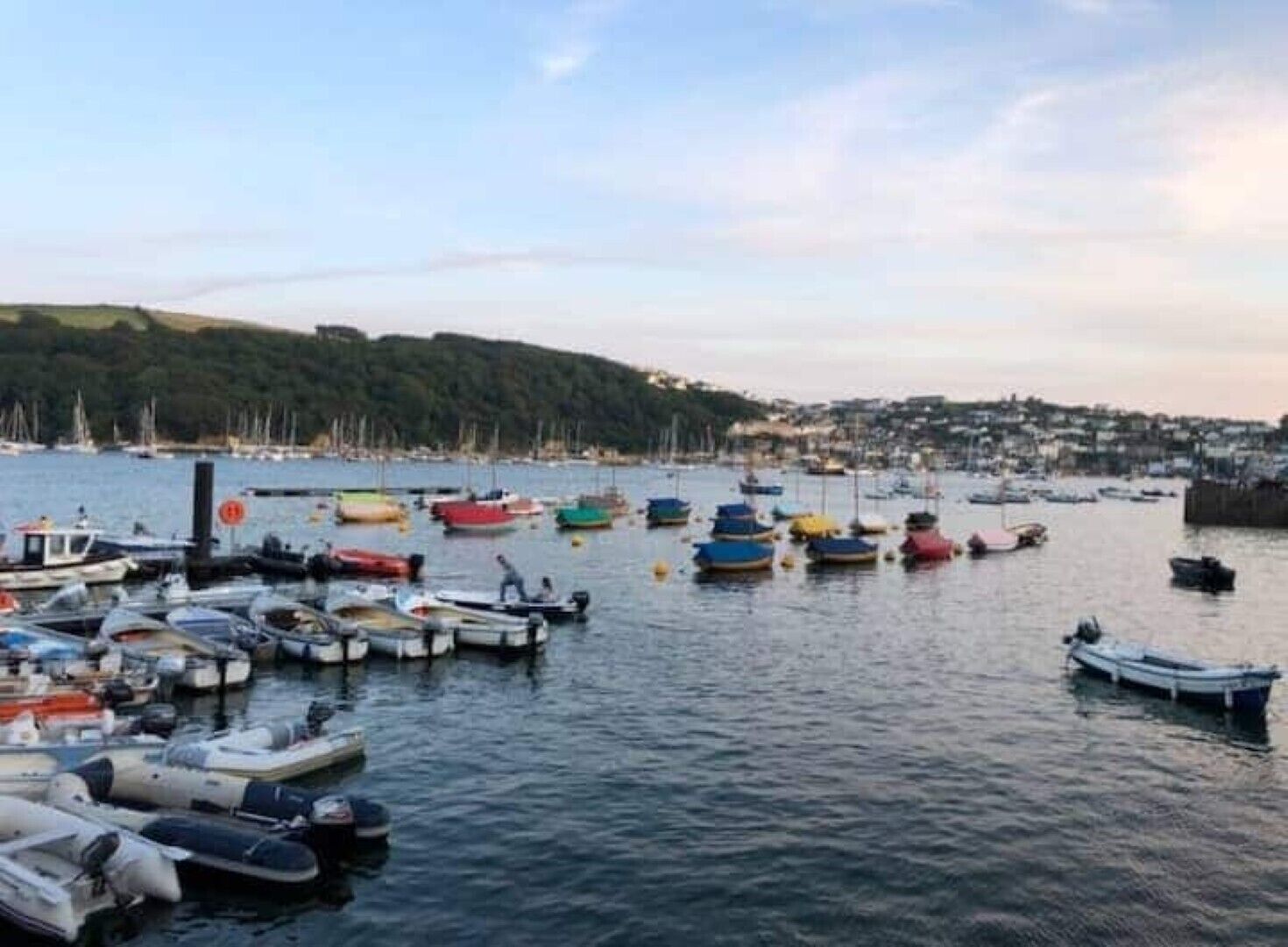 A marina with various boats docked, a calm water body, and a distant town.