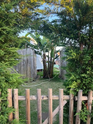 A fenced garden area with various trees and a hose visible.