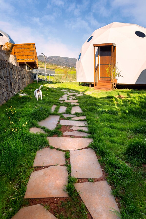 A pathway leading to a dome-shaped building with a wooden door.