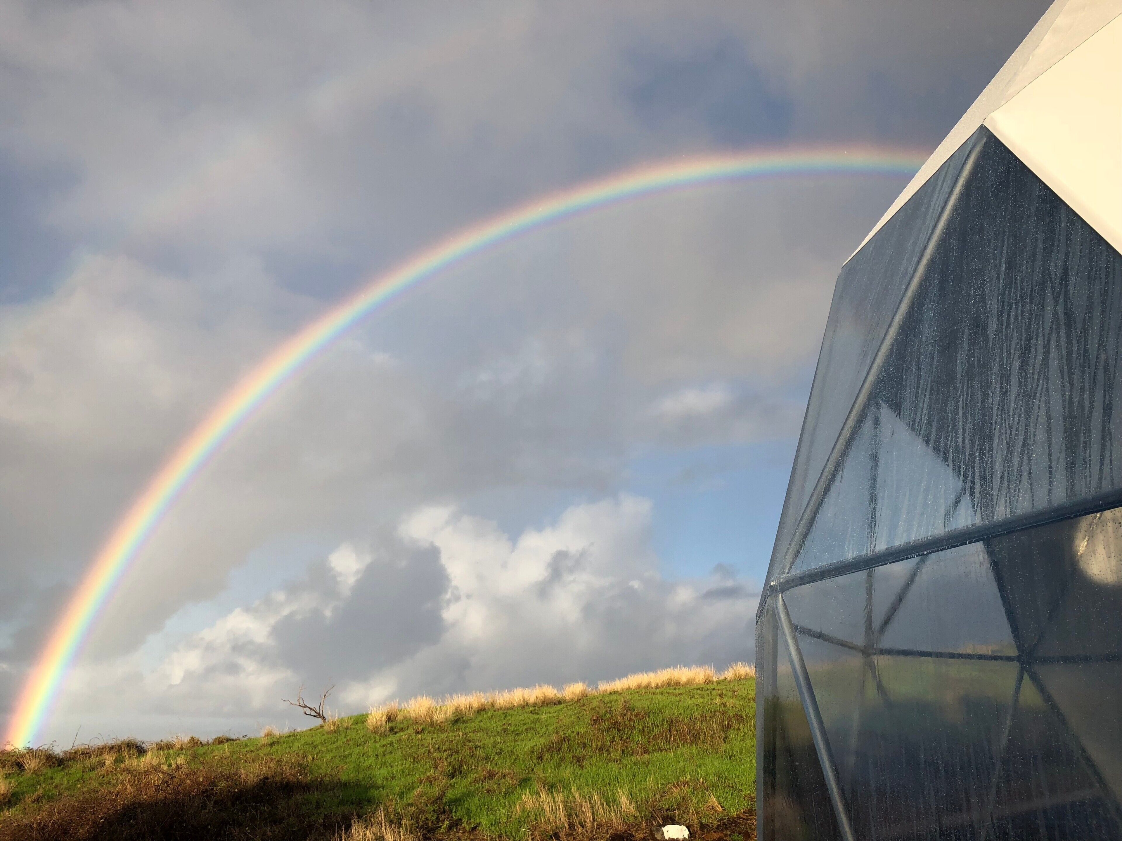 Eine Glasstruktur mit gewölbtem Dach, ein grasbewachsener Hügel im Hintergrund und ein Regenbogen am Himmel.