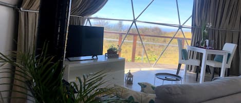 TV