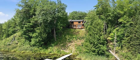 A cabin surrounded by dense forest, a dock extending into a lake with lily pads, and a clear sky.