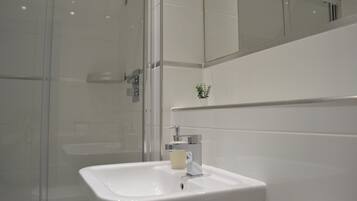 Une salle de bain moderne avec une douche à l’italienne en verre, un lavabo blanc et une petite plante en pot accrochée au mur.