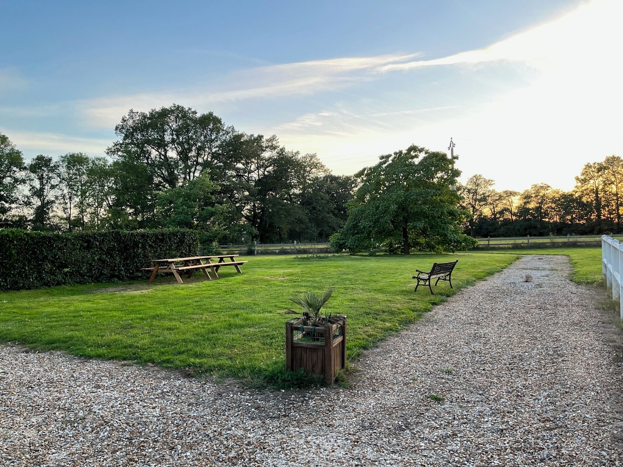 A grassy outdoor area with a gravel path, a wooden bench, and a picnic table.