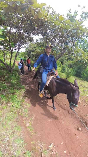 A person riding a horse on a dirt path surrounded by greenery. - Eramon Paradise 360 (San Antonio de la Cruz)