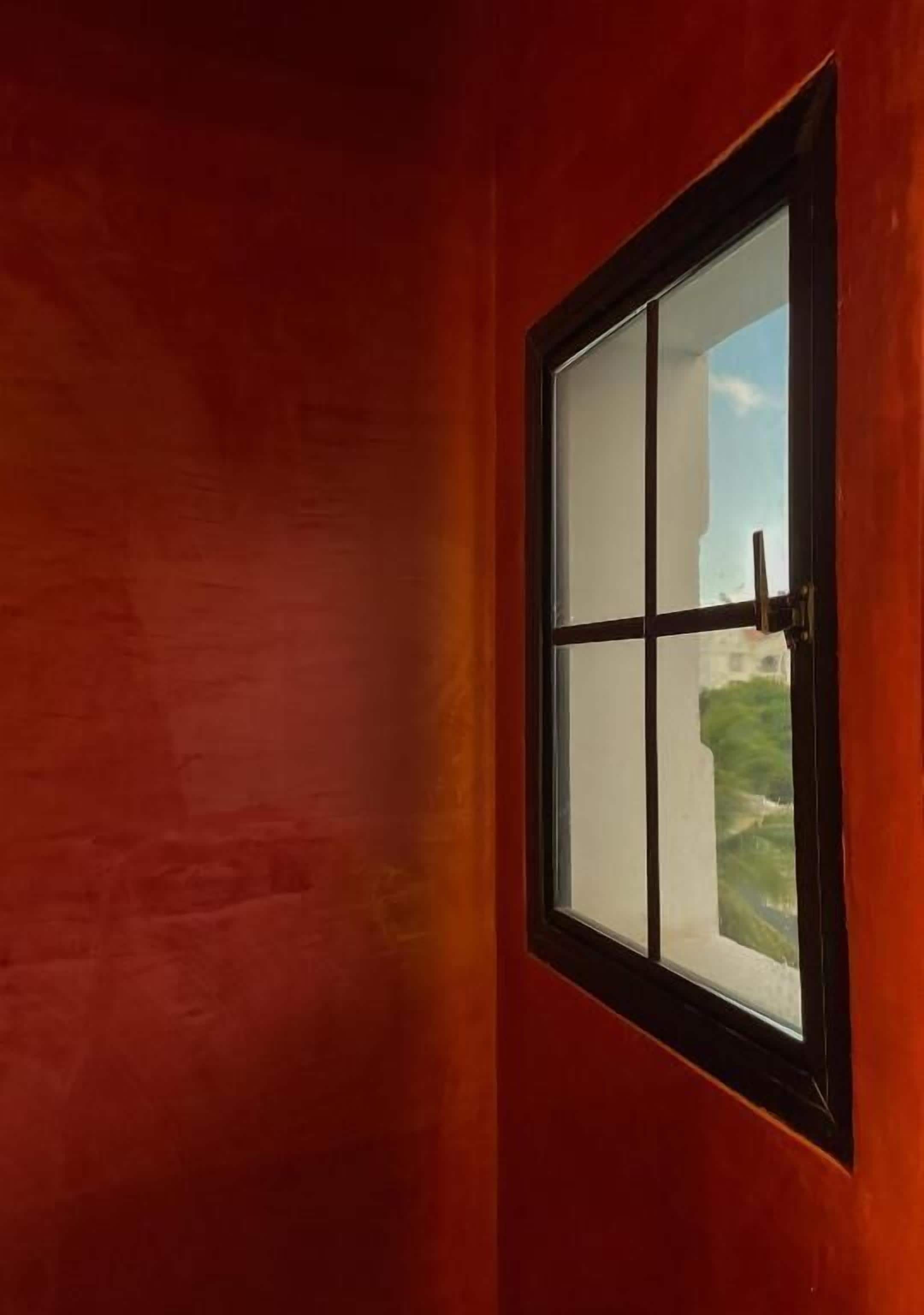 A window with a black frame and a view of greenery outside.