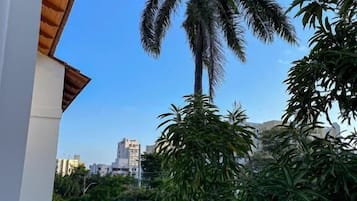 Uma varanda com vista para uma palmeira e vegetação densa.