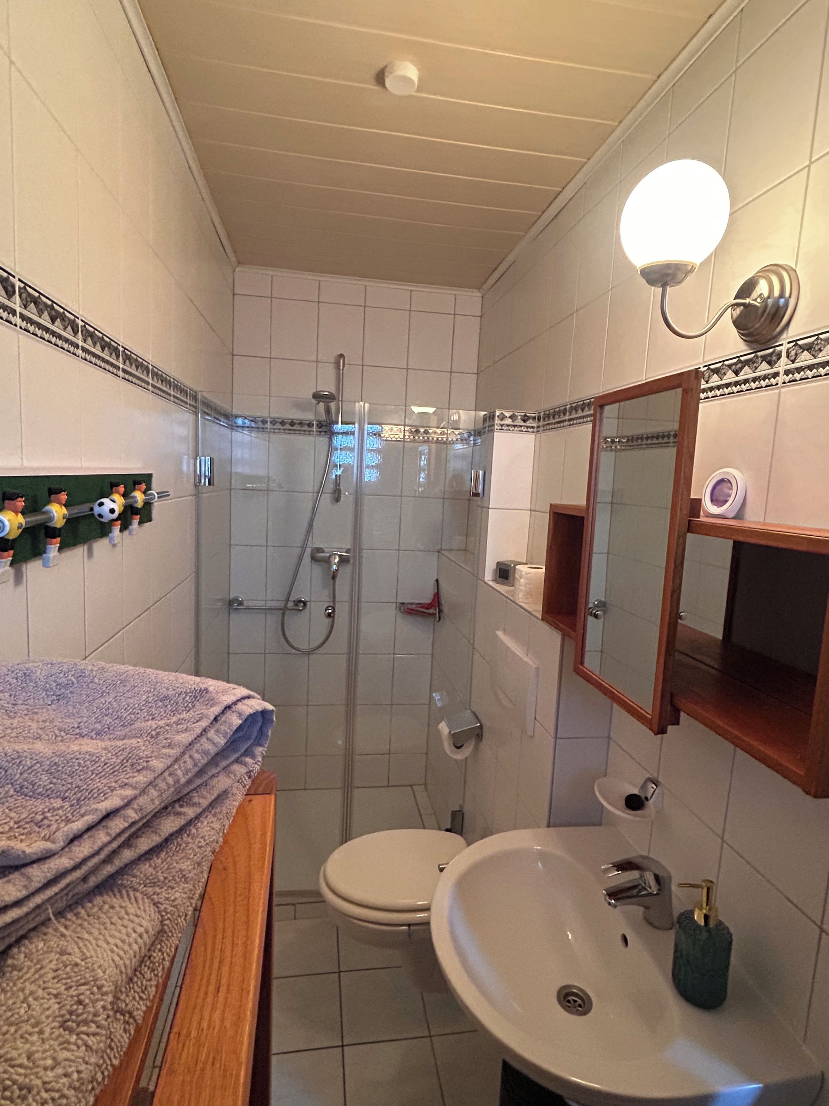 Une salle de bain équipée d’une douche, de toilettes, d’un lavabo et d’un miroir.