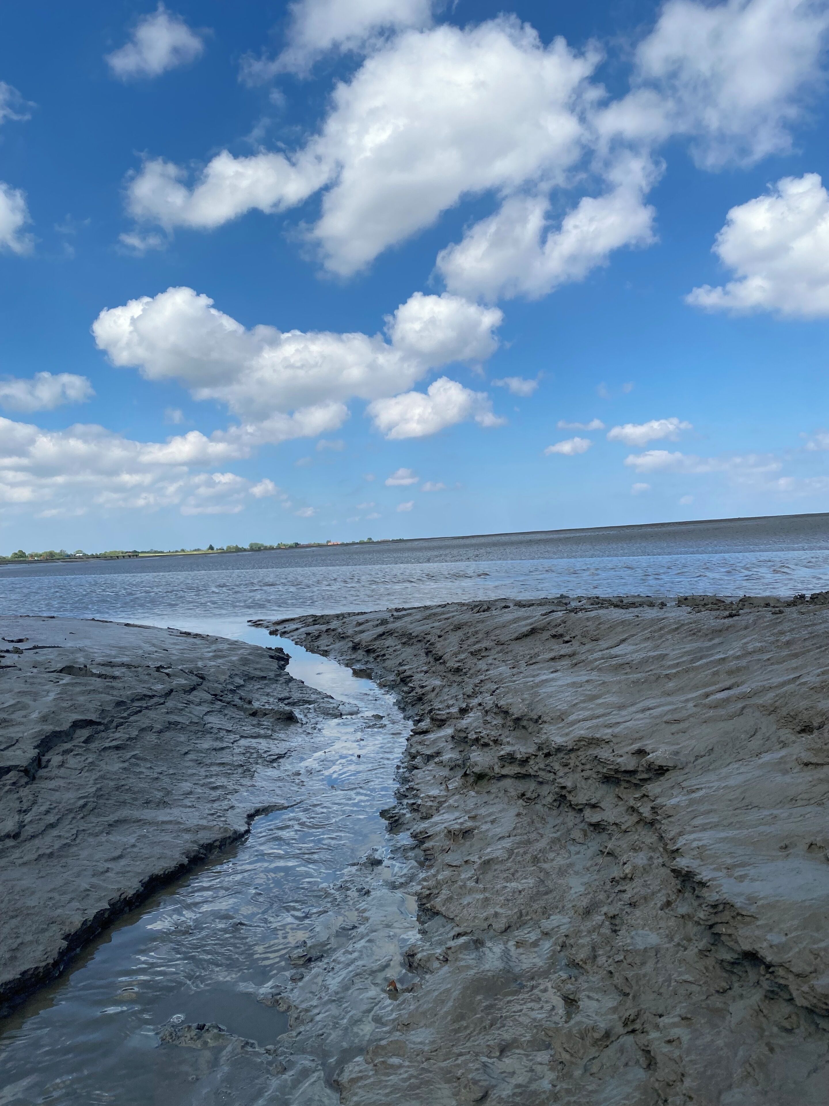 Kustlandschap met een modderige oever en heldere lucht.