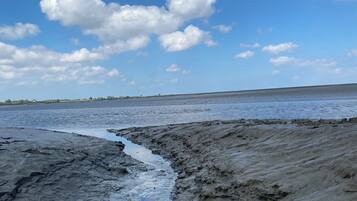 Kustlandschap met een modderige oever en heldere lucht.