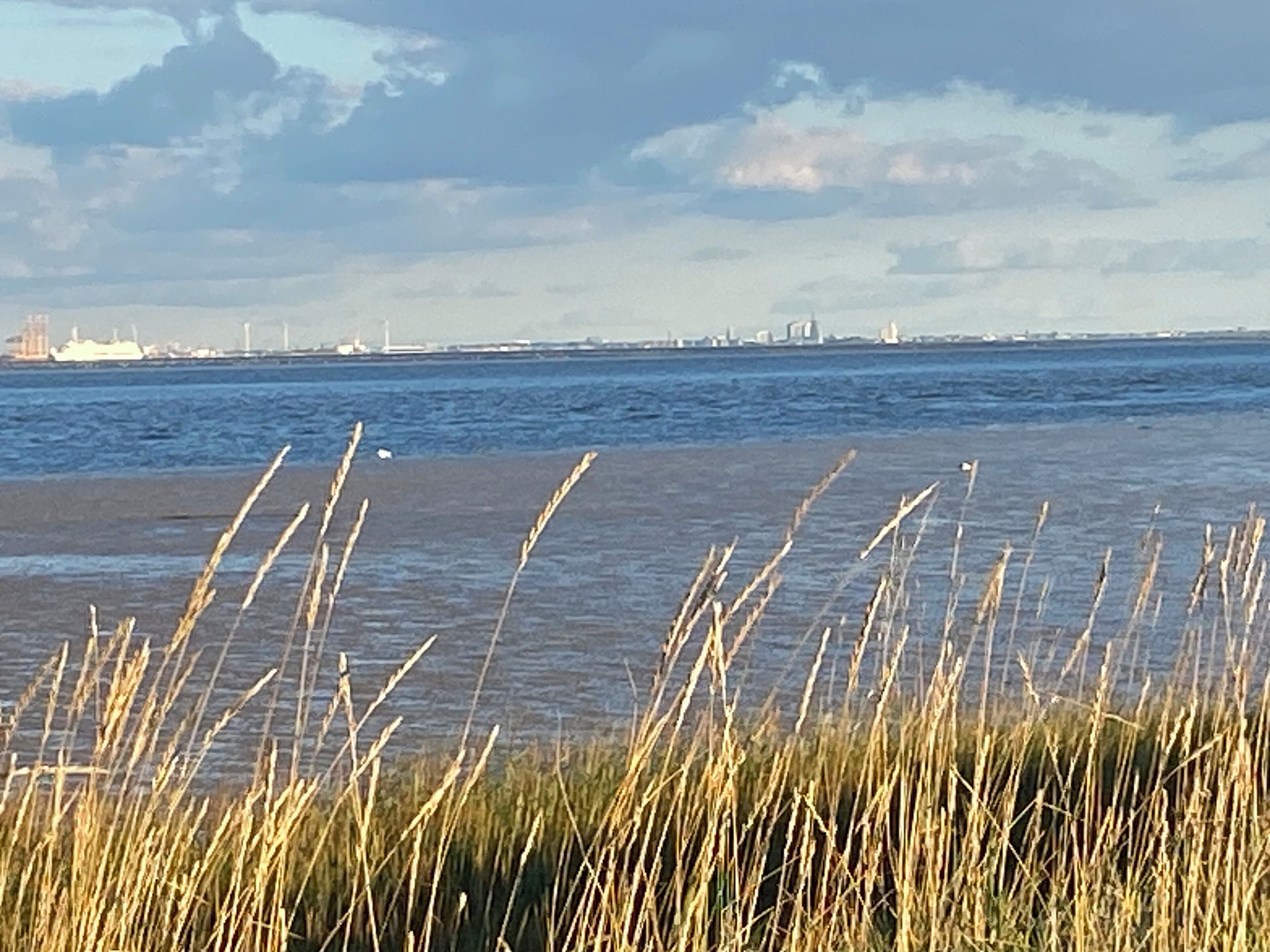 Eine Küstenlandschaft mit einem Gewässer, einer grasbewachsenen Vordergrund und einer entfernten Stadtlandschaft.