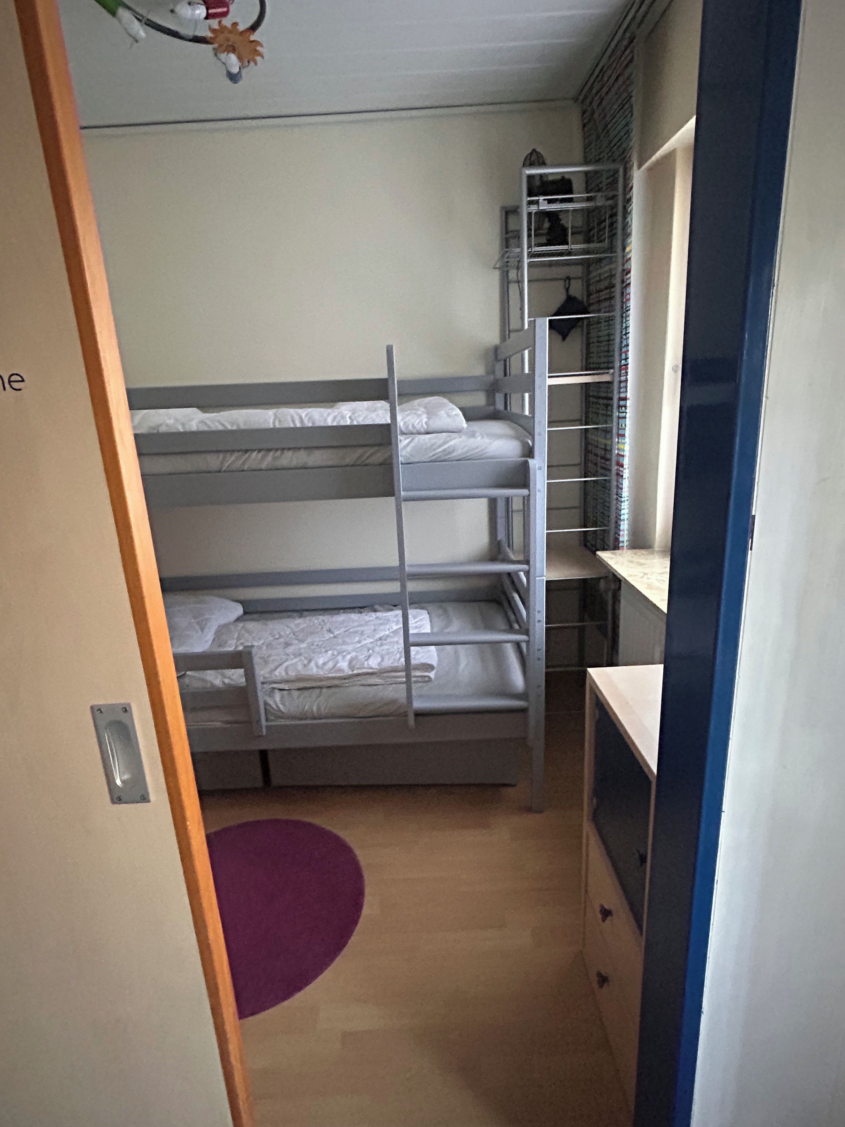 A bunk bed room with a metal ladder, a small shelf, and a purple rug.