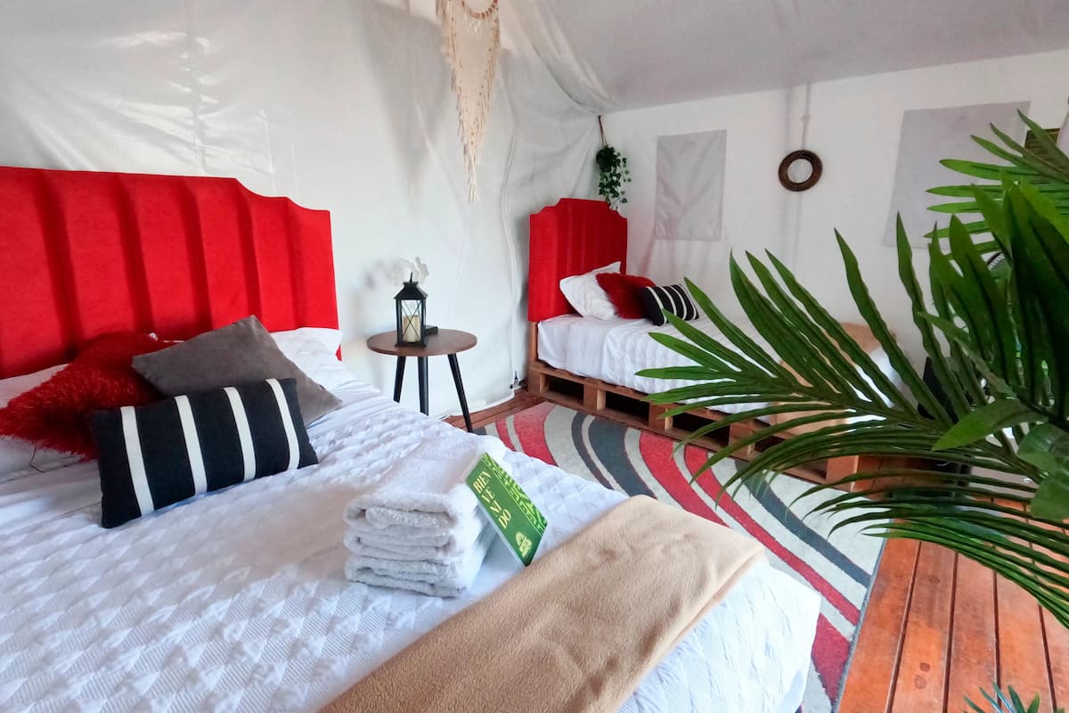 Tienda familiar, vistas a la piscina | Wifi gratis y ropa de cama