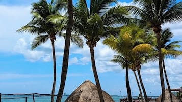 A beach with palm trees, a thatched umbrella, and a view of the ocean.